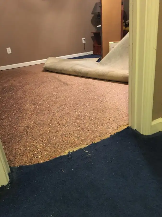 Carpet pad removal revealing water damage during Water Mitigation Services in Gaines