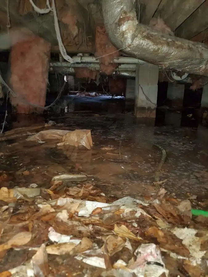 Crawl space flood assessment for Leak Detection & Repair in Gaines