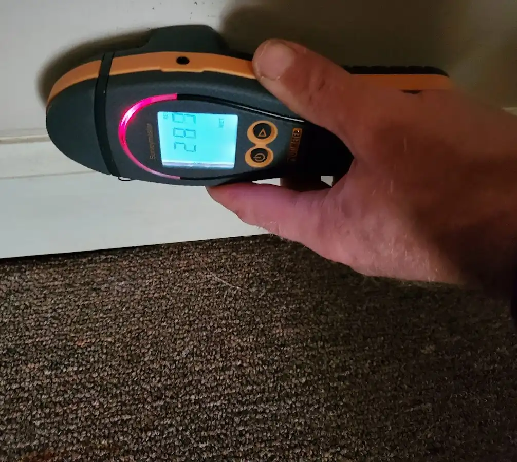 Moisture detection at baseboard during Mold Inspection & Testing in Gaines